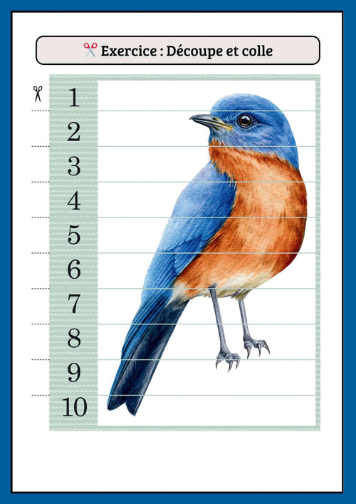 Livre éducatif en format PDF Maroc